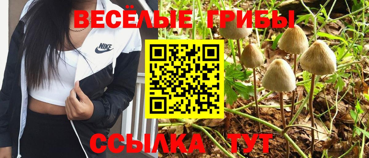 Тара  Галлюциногенные грибы Magic Shrooms  Вход с VPN  Галлюциногенные грибы прущие грибы 