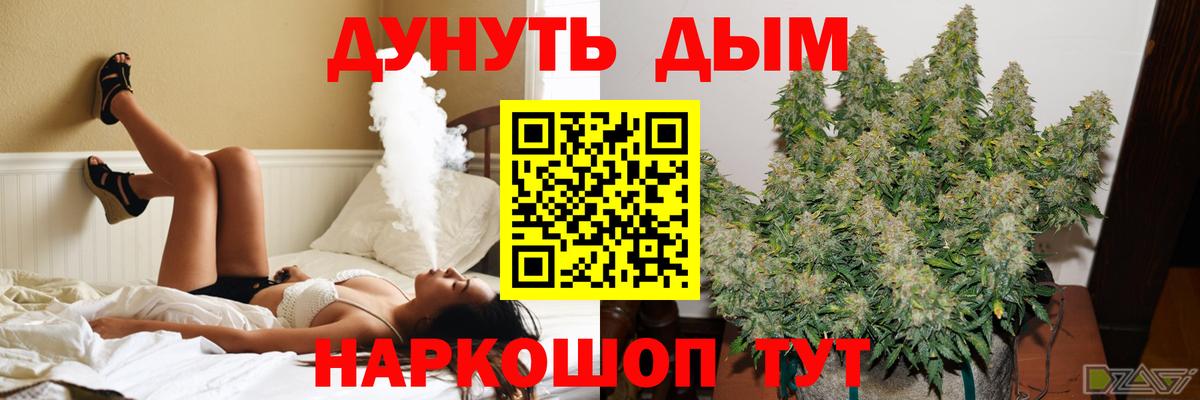 Бошки Шишки семена Тара